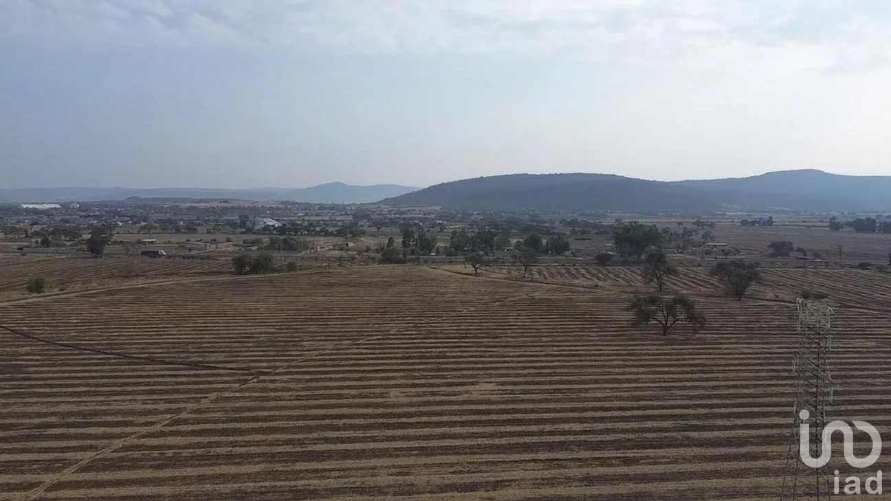 Terreno en Venta en Olímpica, Poncitlán, Jalisco | NEX-275264 | iad México | Foto 7 de 7