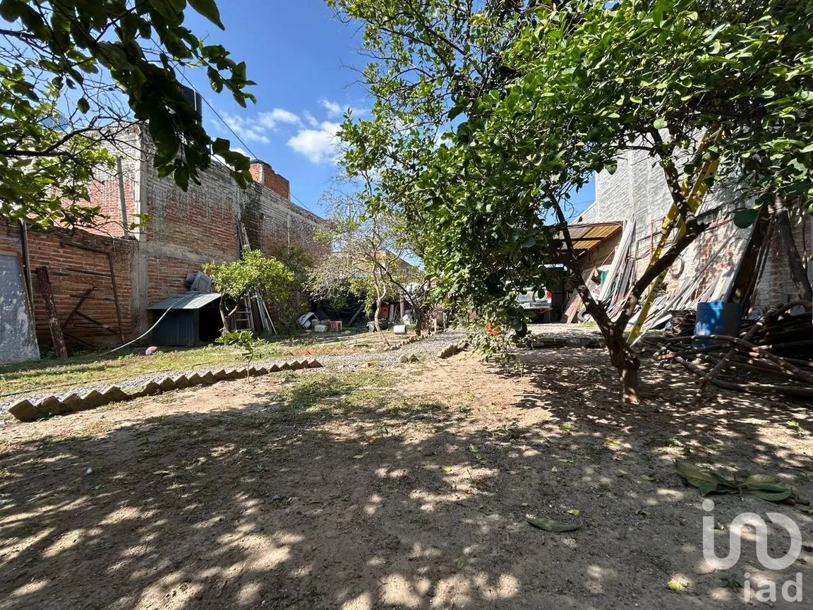 Terreno en Venta en Porvenir, Ocotlán, Jalisco | NEX-278073 | iad México | Foto 4 de 12