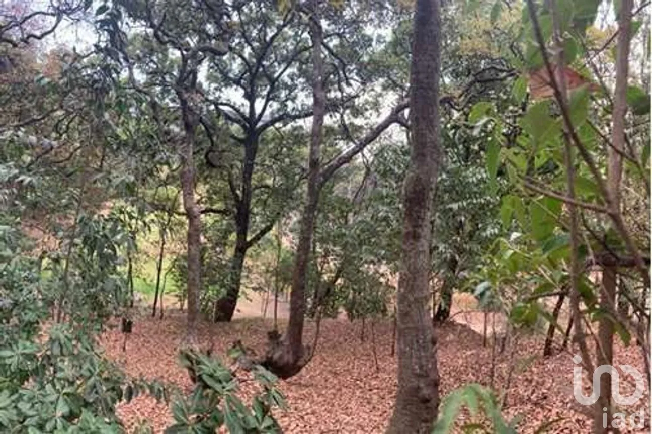 Terreno en Venta en Santa Fe Cuajimalpa, Cuajimalpa de Morelos, Ciudad de México | NEX-266575 | iad México | Foto 2 de 8