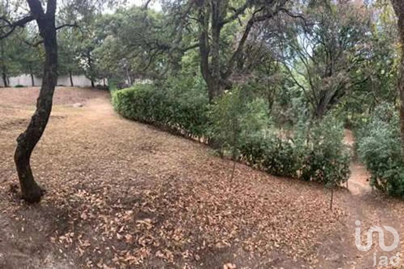 Terreno en Venta en Santa Fe Cuajimalpa, Cuajimalpa de Morelos, Ciudad de México | NEX-266575 | iad México | Foto 5 de 8