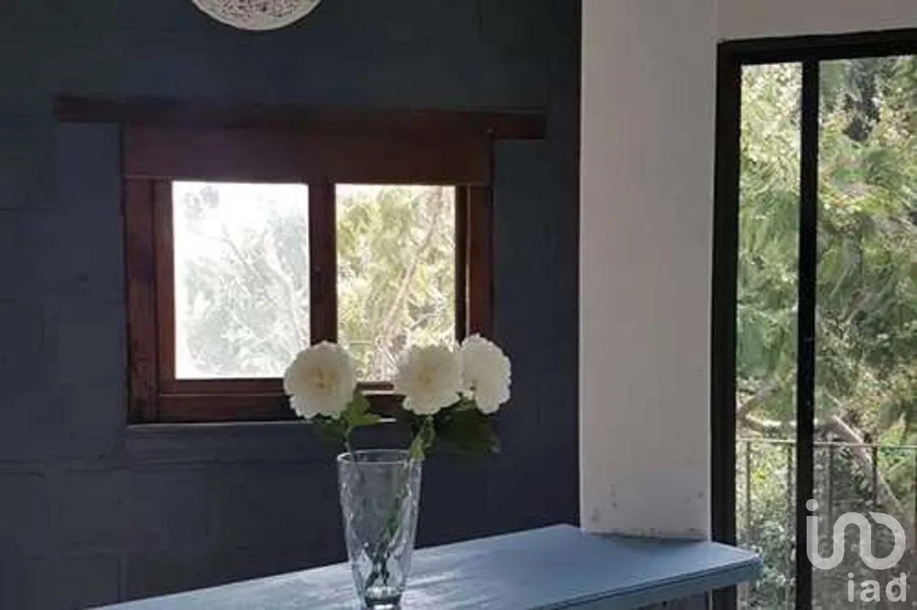 Departamento en Renta en San Antón, Cuernavaca, Morelos | NEX-266578 | iad México | Foto 7 de 17