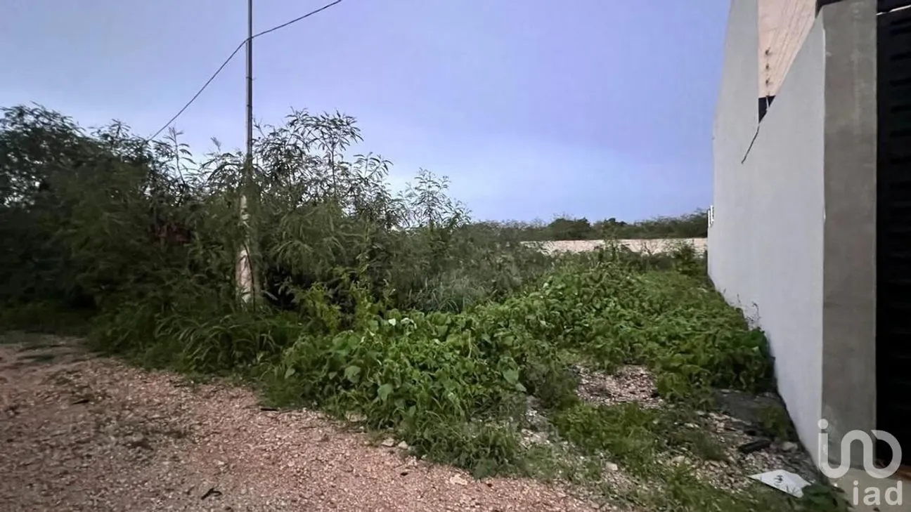Terreno en Venta en Dzityá, Mérida, Yucatán | NEX-231115 | iad México | Foto 3 de 3
