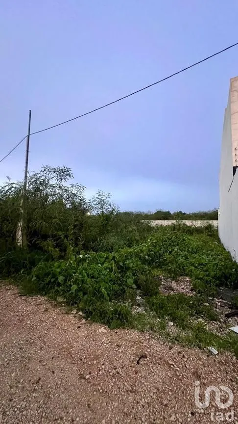 Terreno en Venta en Dzityá, Mérida, Yucatán | NEX-231115 | iad México | Foto 1 de 3