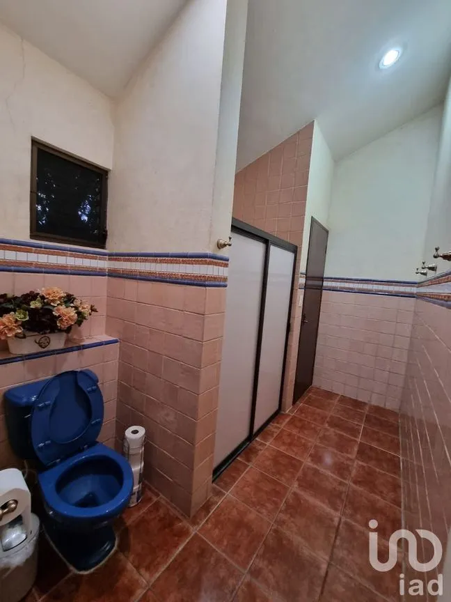 Casa en Venta en San Ramon Norte, Mérida, Yucatán | NEX-270116 | iad México | Foto 42 de 43