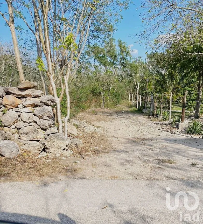 Terreno en Venta en X-Cuyum, Conkal, Yucatán | NEX-270117 | iad México | Foto 2 de 2