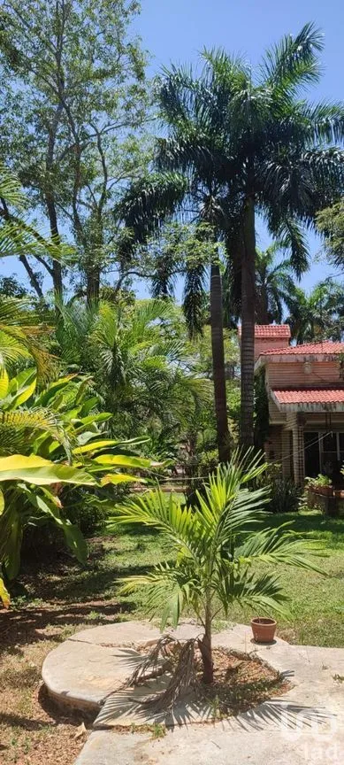 Casa en Venta en Club de Golf La Ceiba, Mérida, Yucatán | NEX-270125 | iad México | Foto 4 de 29