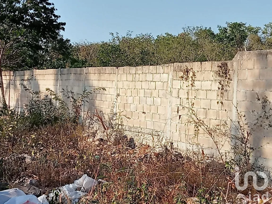 Terreno en Venta en Dzityá, Mérida, Yucatán | NEX-270126 | iad México | Foto 3 de 8