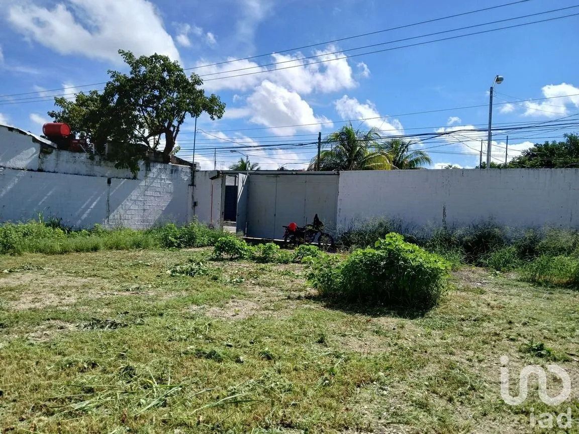 Casa en Renta en Bugambilias, Mérida, Yucatán | NEX-270133 | iad México | Foto 20 de 23