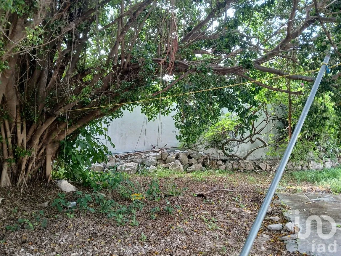 Casa en Renta en Benito Juárez Nte, Mérida, Yucatán | NEX-271286 | iad México | Foto 18 de 18