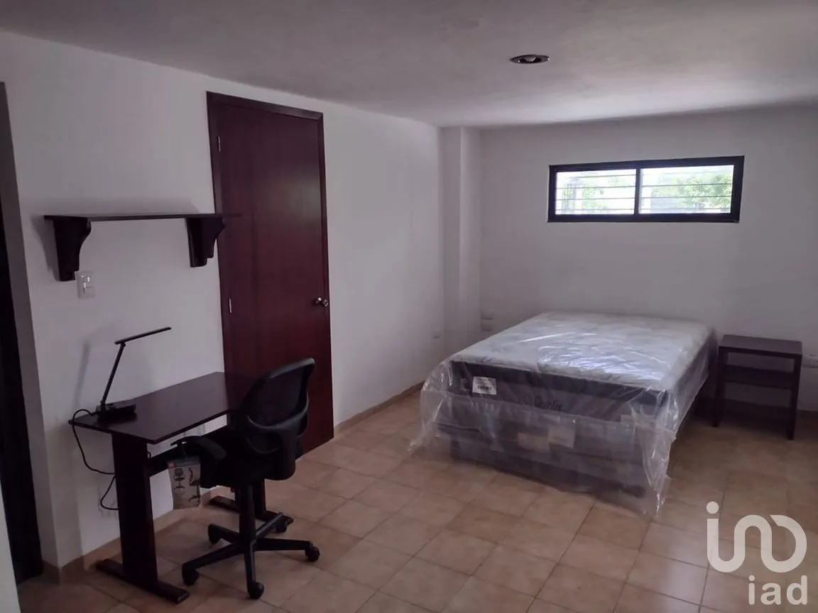 Departamento en Renta en Benito Juárez Nte, Mérida, Yucatán | NEX-275365 | iad México | Foto 3 de 19
