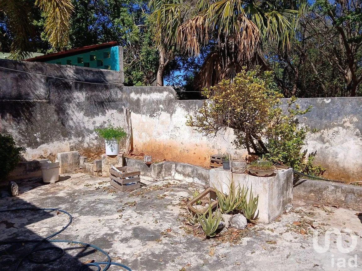 Casa en Venta en Mérida Centro, Mérida, Yucatán | NEX-288227 | iad México | Foto 26 de 29