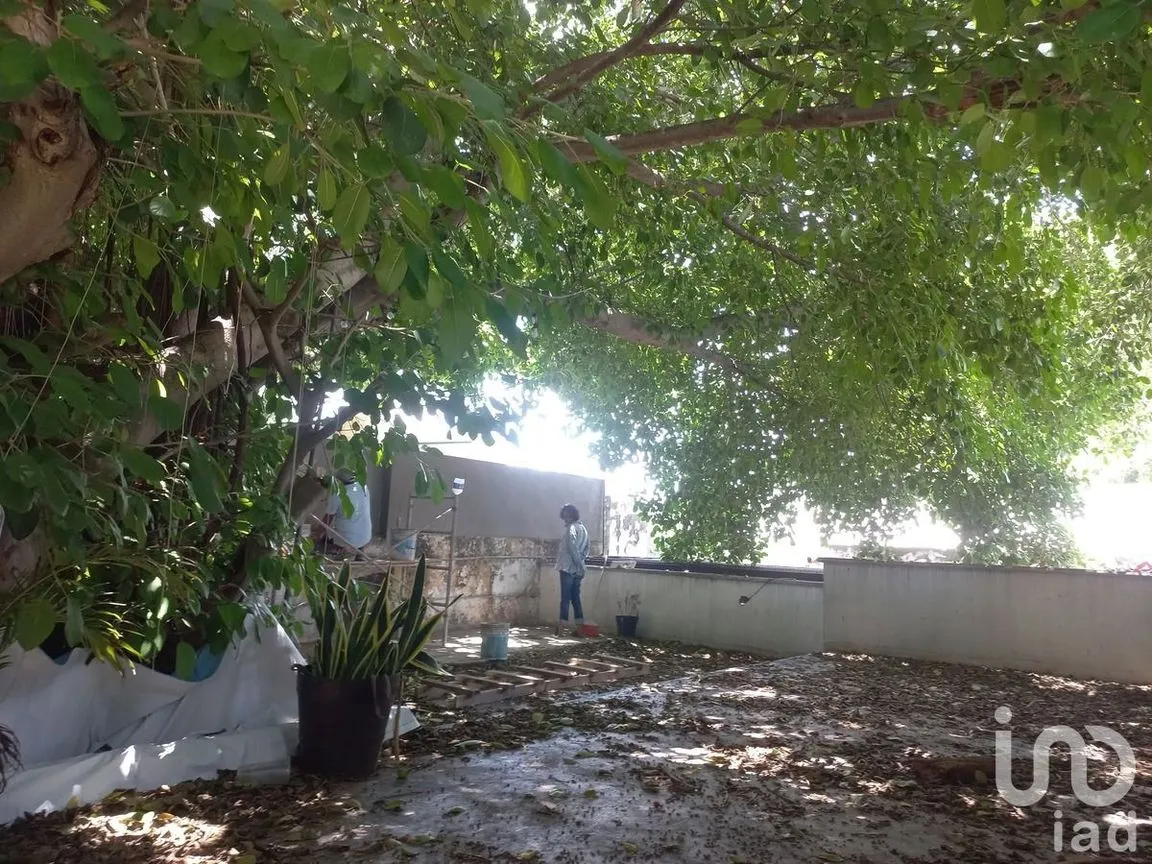 Casa en Renta en Mérida Centro, Mérida, Yucatán | NEX-228495 | iad México | Foto 13 de 14