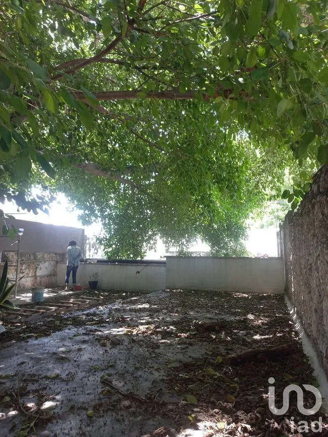 Local en Renta en Mérida Centro, Mérida, Yucatán | NEX-228496 | iad México | Foto 11 de 16