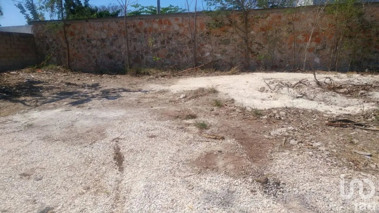 Terreno en Venta en Santa Cruz Palomeque, Mérida, Yucatán | NEX-271227 | iad México | Foto 11 de 12