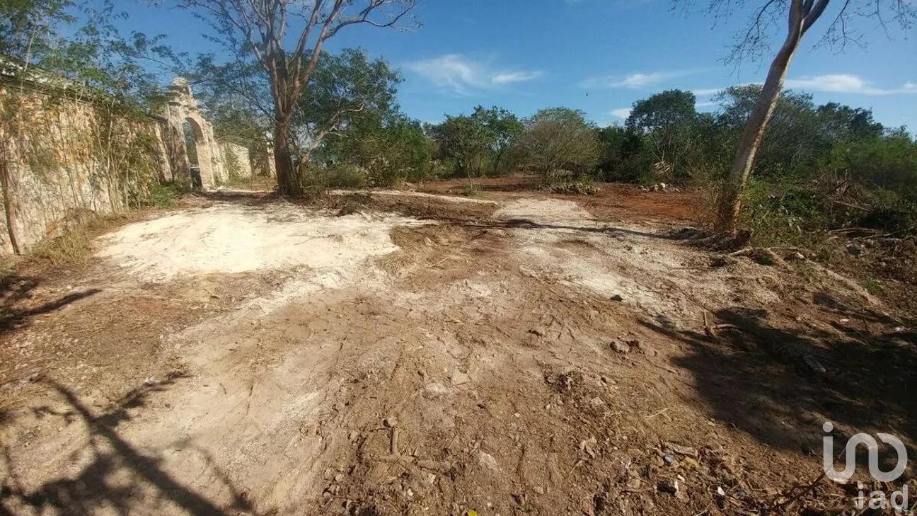 Terreno en Venta en Santa Cruz Palomeque, Mérida, Yucatán | NEX-271227 | iad México | Foto 10 de 12