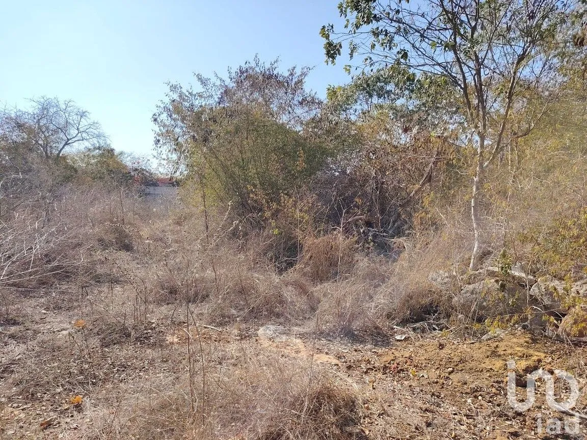 Terreno en Venta en Dzityá, Mérida, Yucatán | NEX-290657 | iad México | Foto 11 de 26