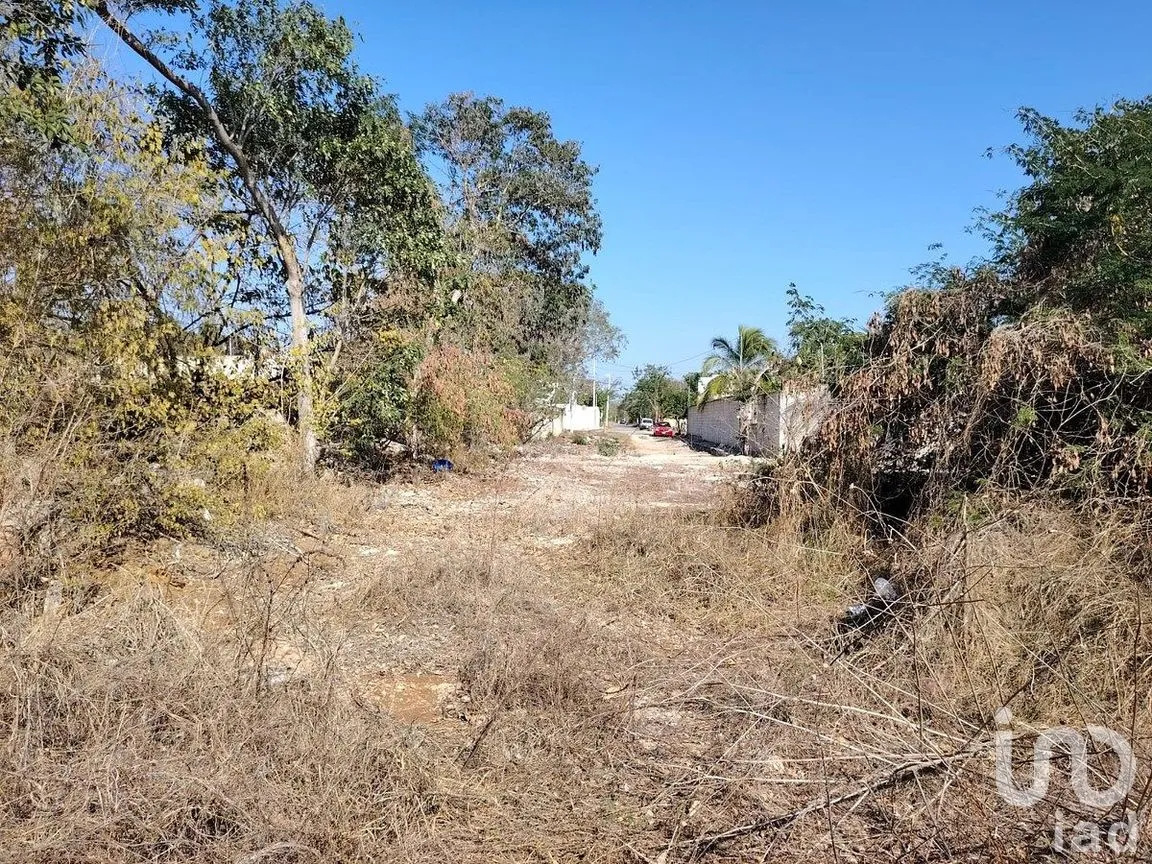Terreno en Venta en Dzityá, Mérida, Yucatán | NEX-290657 | iad México | Foto 9 de 26