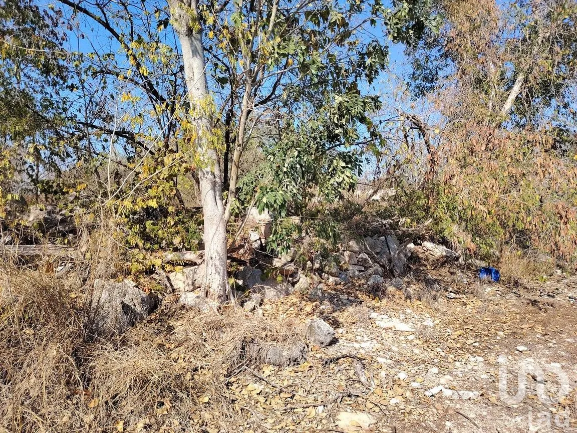Terreno en Venta en Dzityá, Mérida, Yucatán | NEX-290671 | iad México | Foto 25 de 25