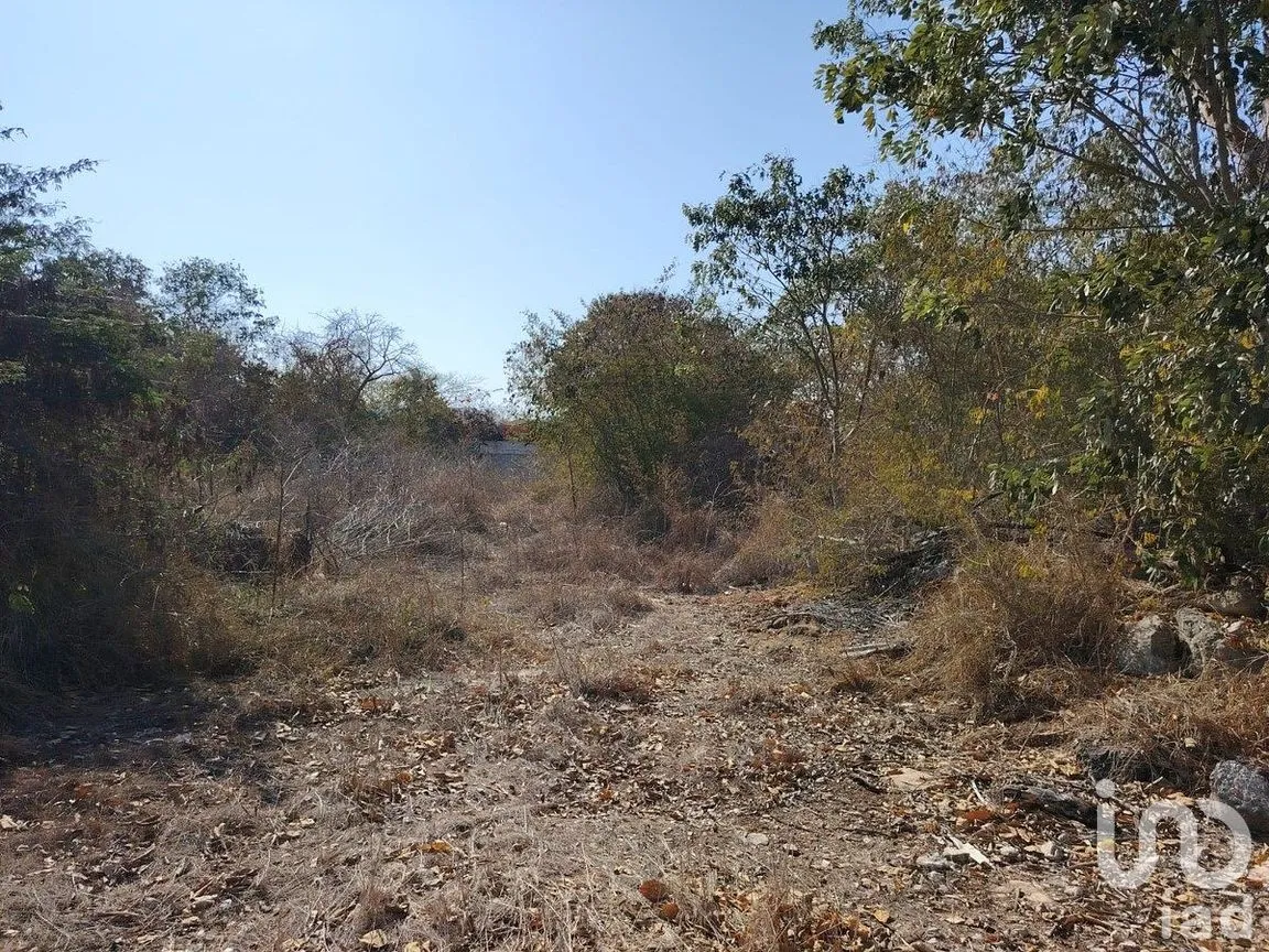 Terreno en Venta en Dzityá, Mérida, Yucatán | NEX-290671 | iad México | Foto 6 de 25