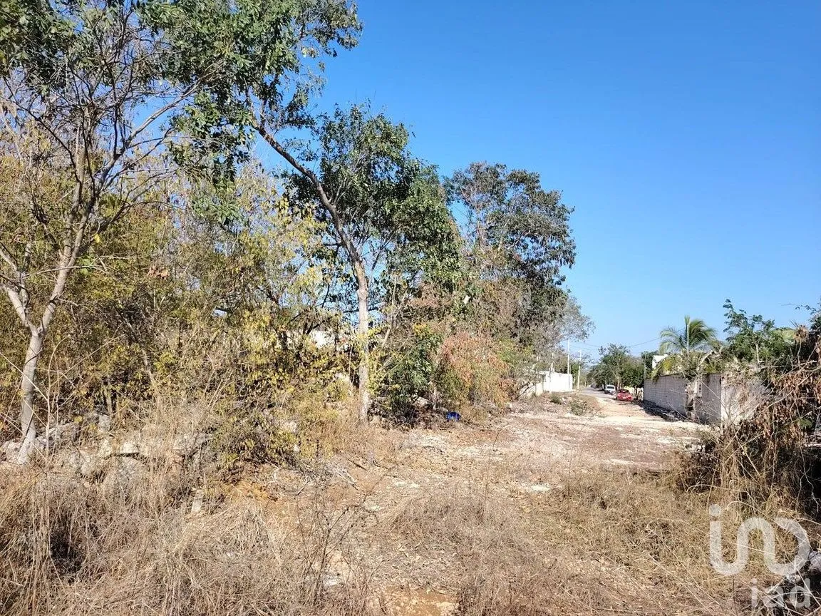 Terreno en Venta en Dzityá, Mérida, Yucatán | NEX-290671 | iad México | Foto 7 de 25