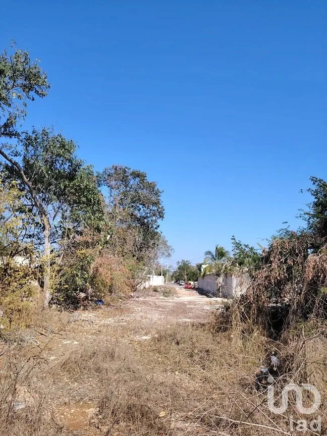 Terreno en Venta en Dzityá, Mérida, Yucatán | NEX-290671 | iad México | Foto 8 de 25