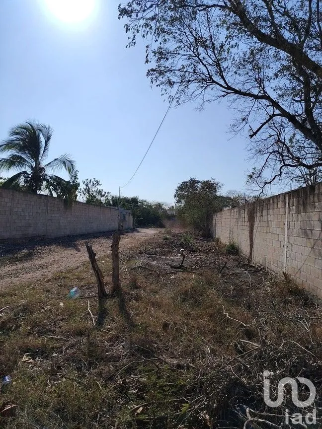 Terreno en Venta en Dzityá, Mérida, Yucatán | NEX-290671 | iad México | Foto 9 de 25
