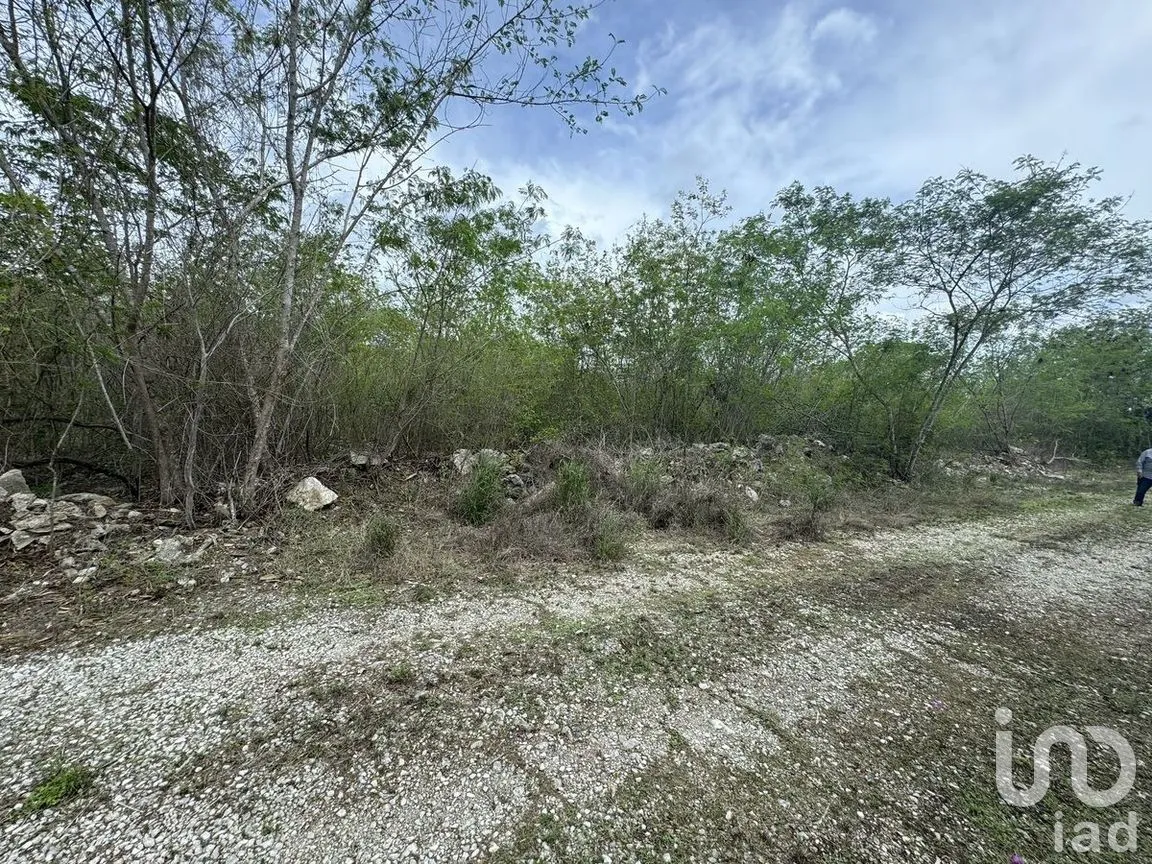 Terreno en Venta en Tamanché, Mérida, Yucatán | NEX-226699 | iad México | Foto 3 de 5