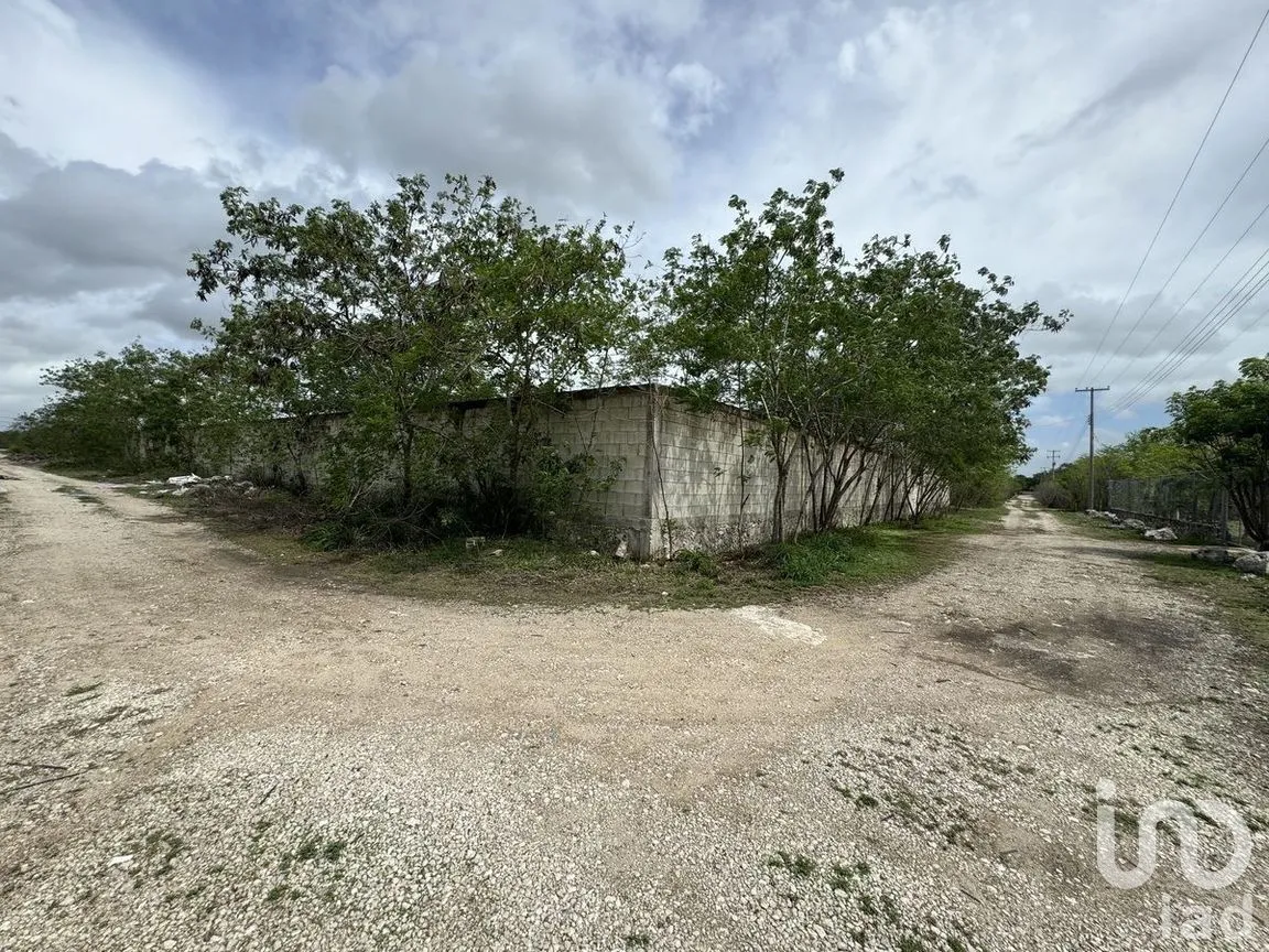 Terreno en Venta en Tamanché, Mérida, Yucatán | NEX-226699 | iad México | Foto 4 de 5