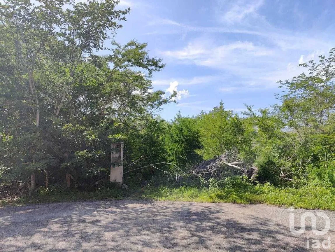 Terreno en Venta en Conkal, Conkal, Yucatán | NEX-227668 | iad México | Foto 2 de 6