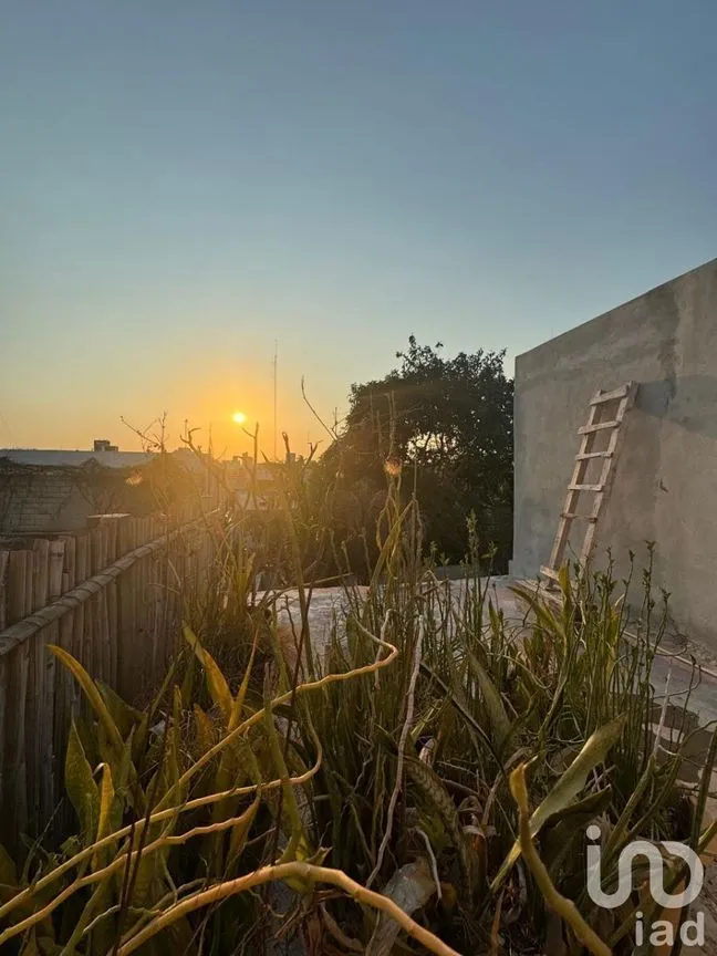 Casa en Venta en Mérida Centro, Mérida, Yucatán | NEX-227673 | iad México | Foto 8 de 16