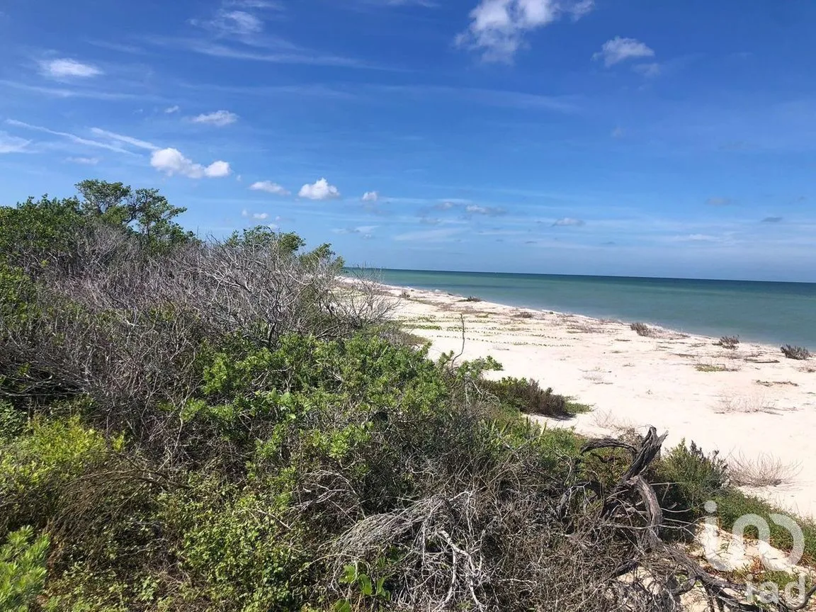 Terreno en Venta en Sisal, Hunucmá, Yucatán | NEX-227755 | iad México | Foto 2 de 6
