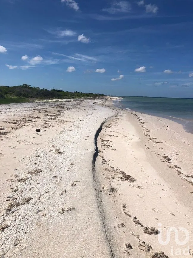 Terreno en Venta en Sisal, Hunucmá, Yucatán | NEX-227755 | iad México | Foto 4 de 6