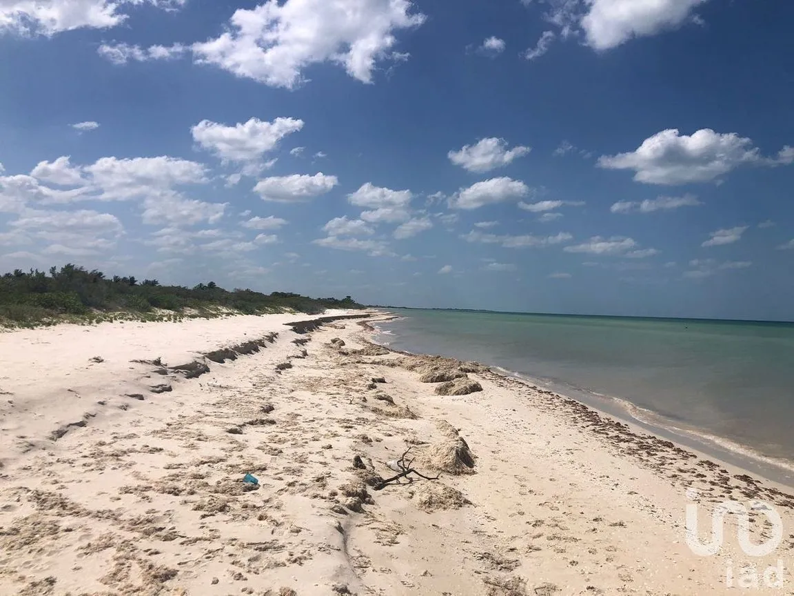 Terreno en Venta en Sisal, Hunucmá, Yucatán | NEX-227755 | iad México | Foto 5 de 6