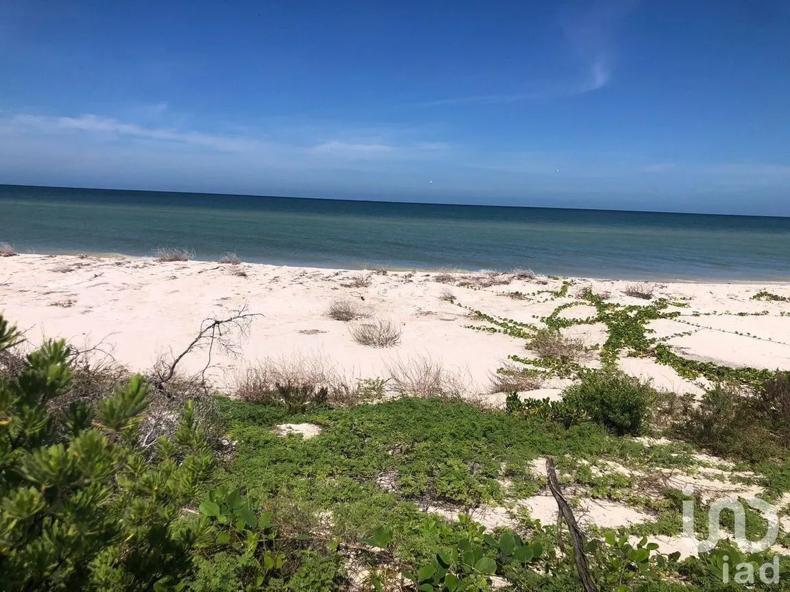Terreno en Venta en Sisal, Hunucmá, Yucatán | NEX-227756 | iad México | Foto 2 de 5