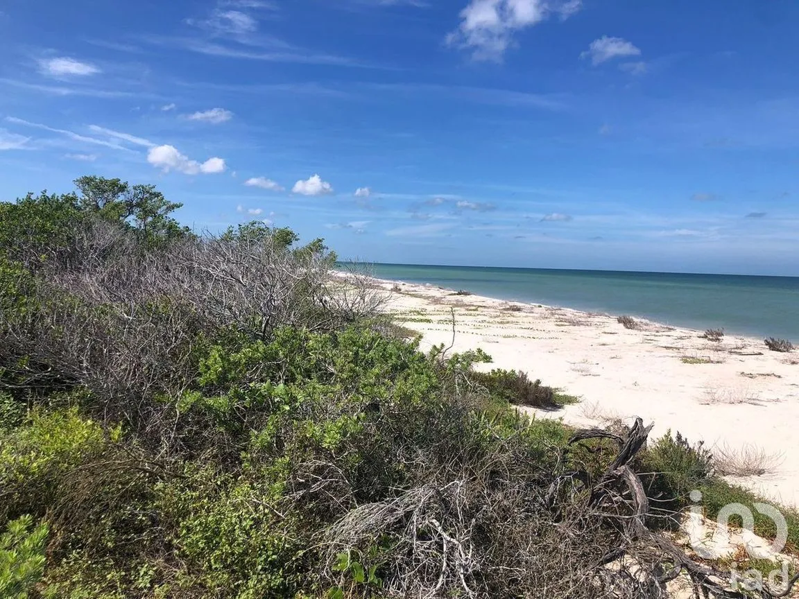 Terreno en Venta en Sisal, Hunucmá, Yucatán | NEX-227756 | iad México | Foto 3 de 5