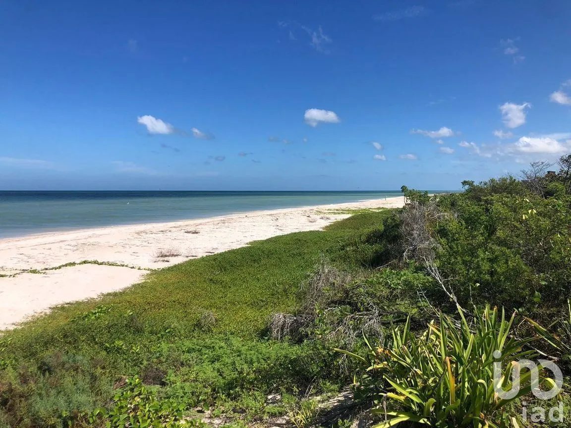 Terreno en Venta en Sisal, Hunucmá, Yucatán | NEX-227756 | iad México | Foto 4 de 5