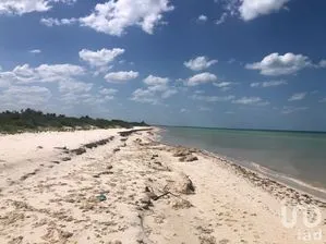 NEX-227756 - Terreno en Venta en Sisal, CP 97356, Yucatán.
