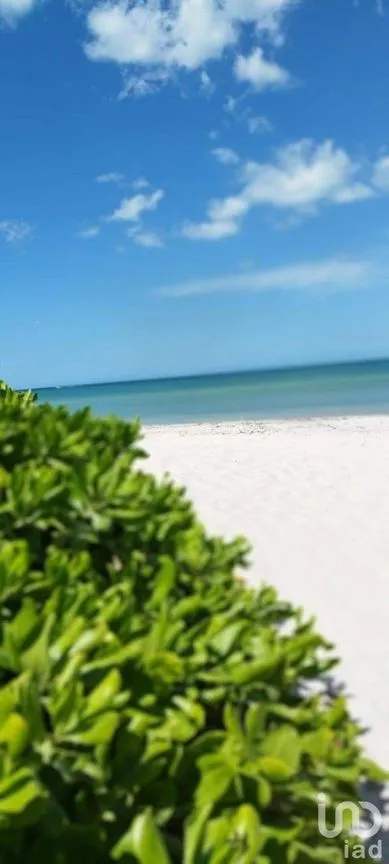 Terreno en Venta en Chelem, Progreso, Yucatán | NEX-227778 | iad México | Foto 4 de 5