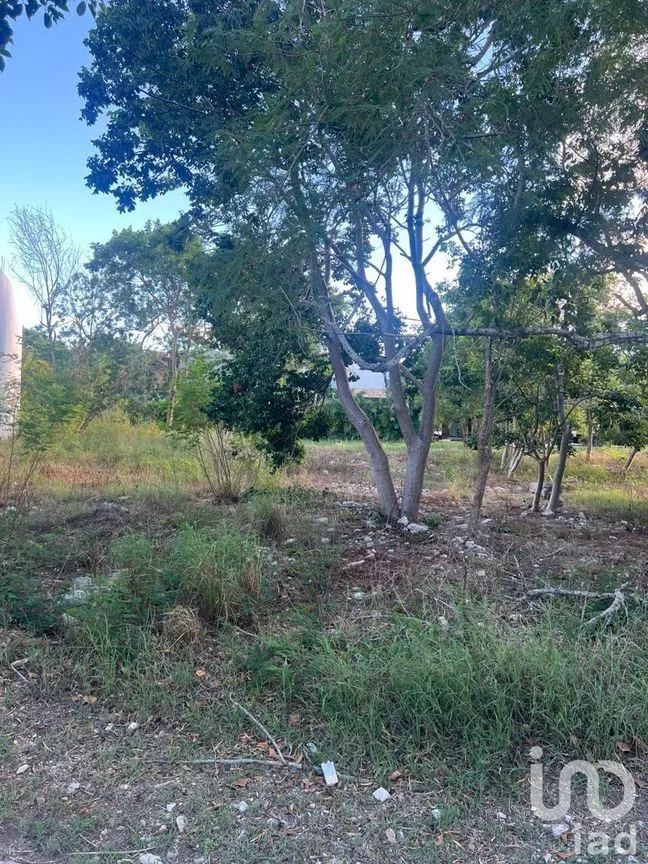 Terreno en Venta en Cabo Norte, Mérida, Yucatán | NEX-227822 | iad México | Foto 2 de 6