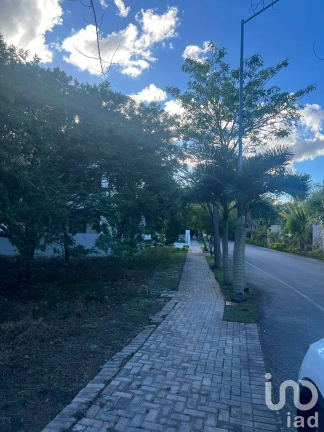 Terreno en Venta en Cabo Norte, Mérida, Yucatán | NEX-227822 | iad México | Foto 4 de 6