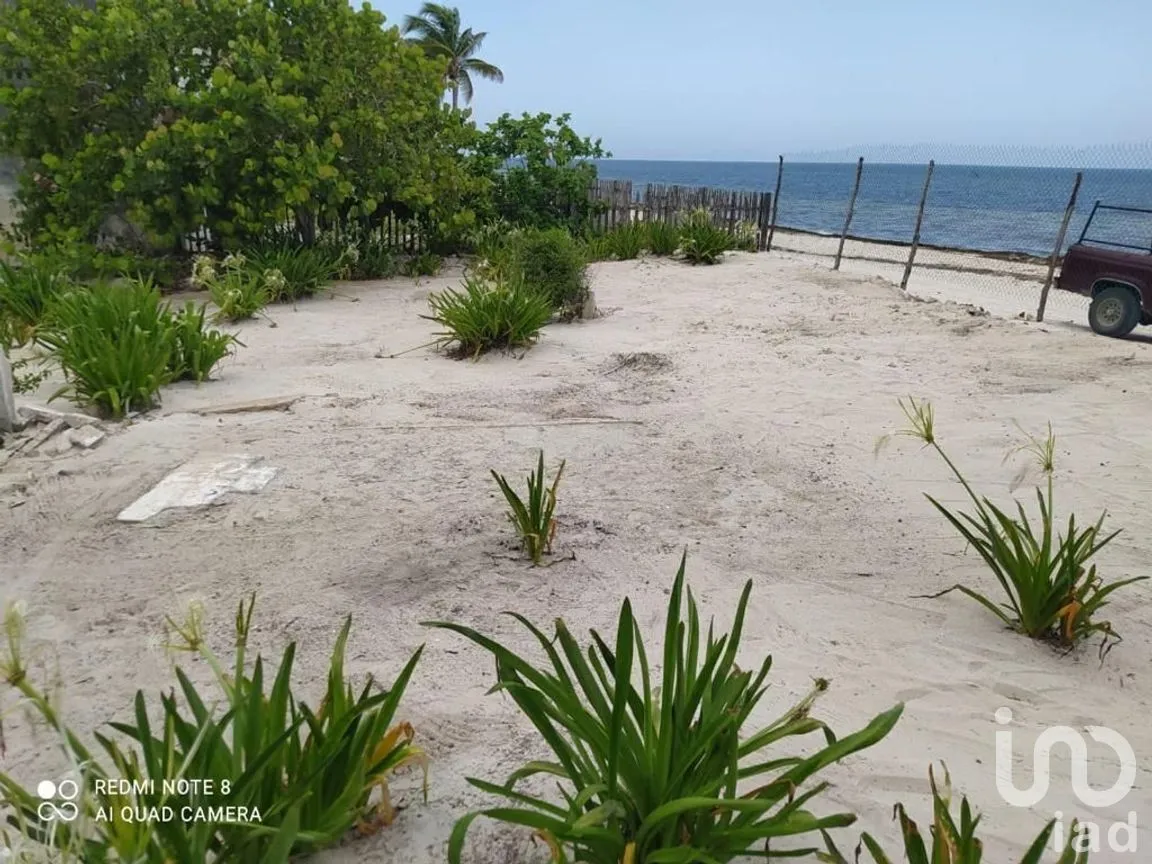 Terreno en Venta en San Crisanto, Sinanché, Yucatán | NEX-227824 | iad México | Foto 3 de 8