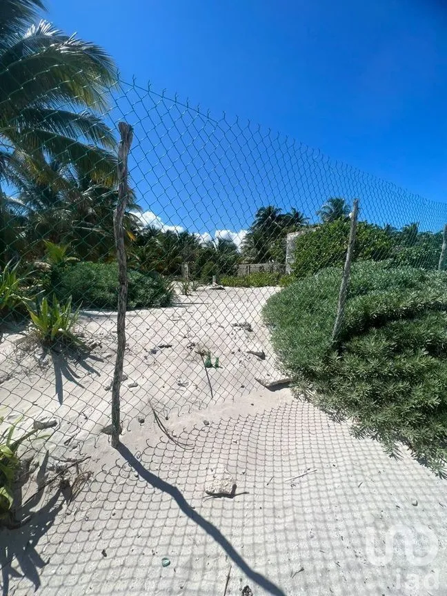 Terreno en Venta en San Crisanto, Sinanché, Yucatán | NEX-227824 | iad México | Foto 4 de 8