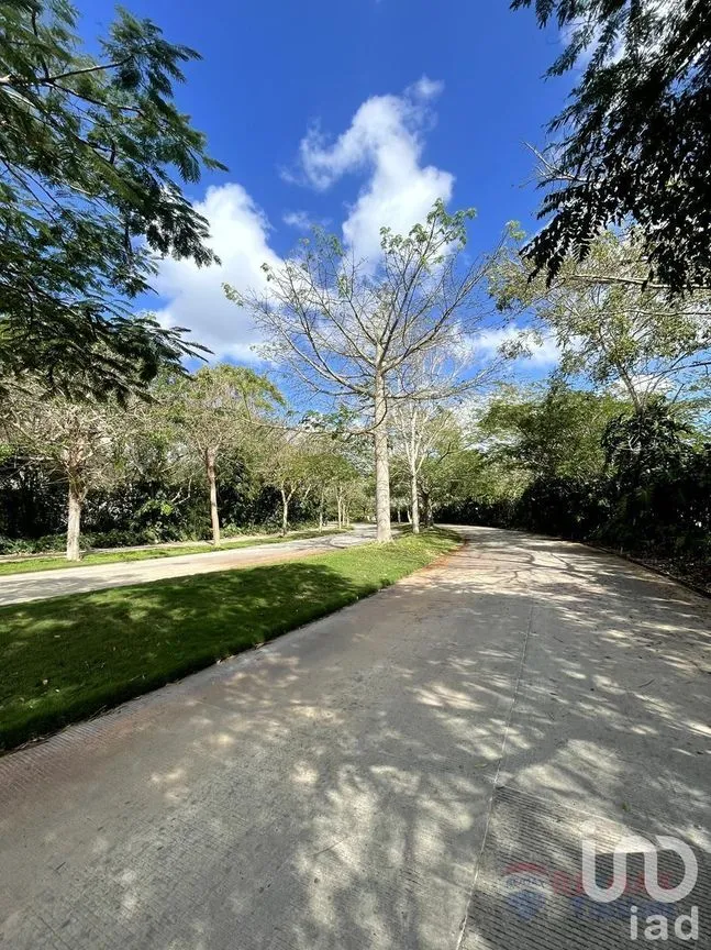 Terreno en Venta en Cabo Norte, Mérida, Yucatán | NEX-227828 | iad México | Foto 2 de 11