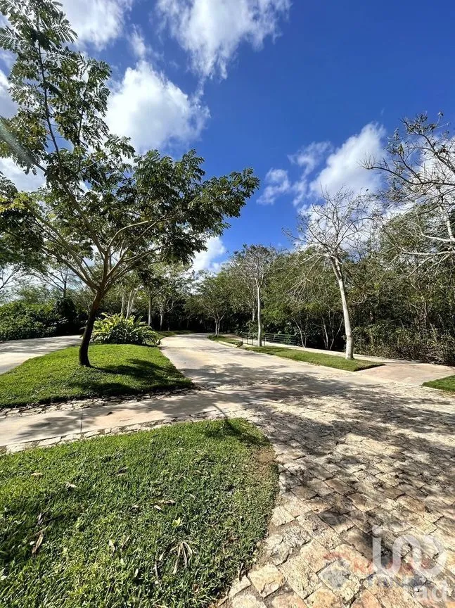Terreno en Venta en Cabo Norte, Mérida, Yucatán | NEX-227828 | iad México | Foto 3 de 11
