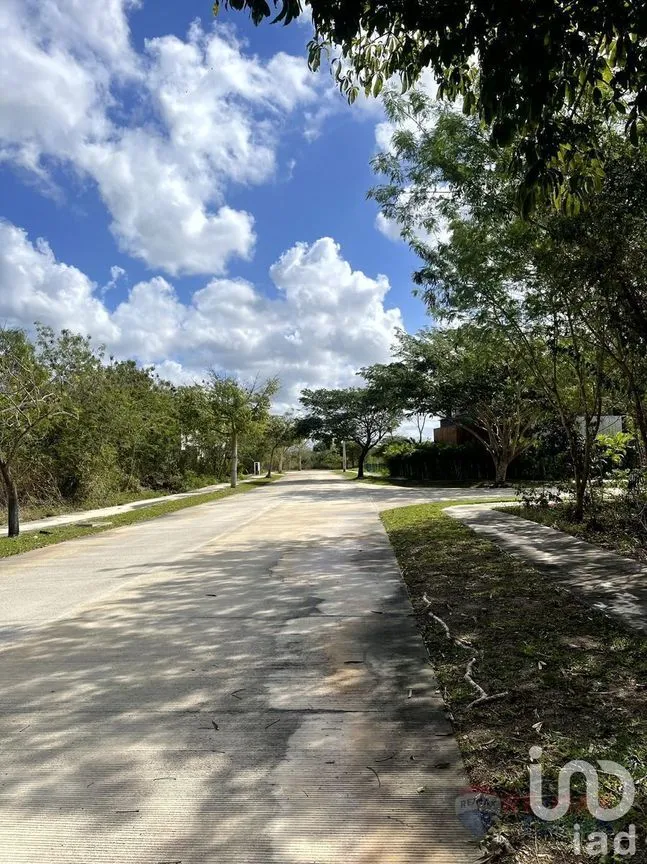 Terreno en Venta en Cabo Norte, Mérida, Yucatán | NEX-227828 | iad México | Foto 6 de 11