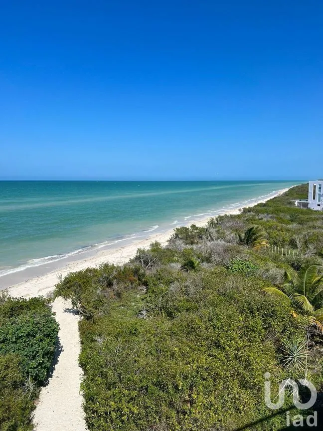 Terreno en Venta en Sisal, Hunucmá, Yucatán | NEX-227834 | iad México | Foto 11 de 13