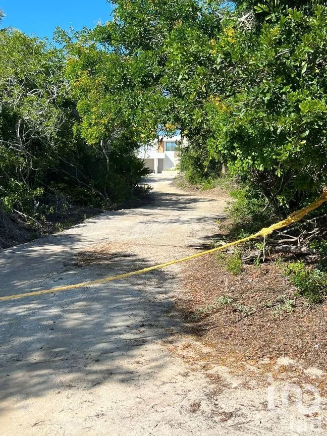 Terreno en Venta en Sisal, Hunucmá, Yucatán | NEX-227834 | iad México | Foto 12 de 13