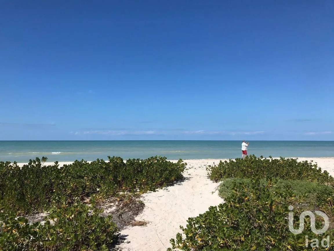 Terreno en Venta en Sisal, Hunucmá, Yucatán | NEX-227834 | iad México | Foto 3 de 13
