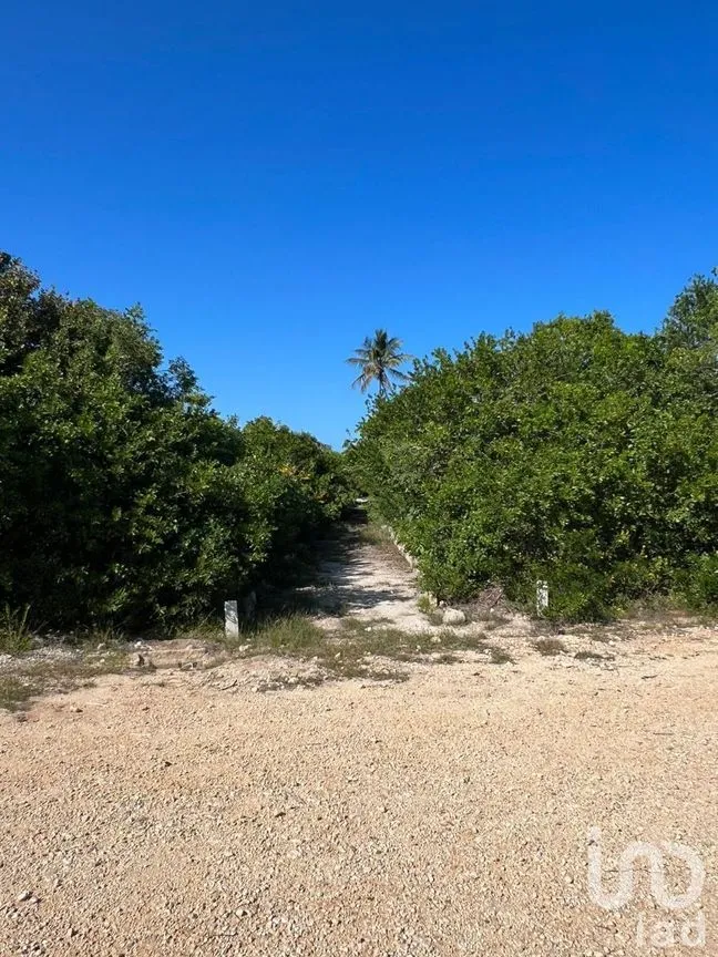 Terreno en Venta en Sisal, Hunucmá, Yucatán | NEX-227834 | iad México | Foto 4 de 13