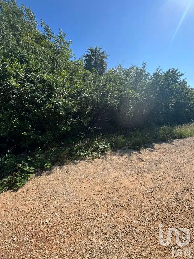 Terreno en Venta en Sisal, Hunucmá, Yucatán | NEX-227834 | iad México | Foto 5 de 13